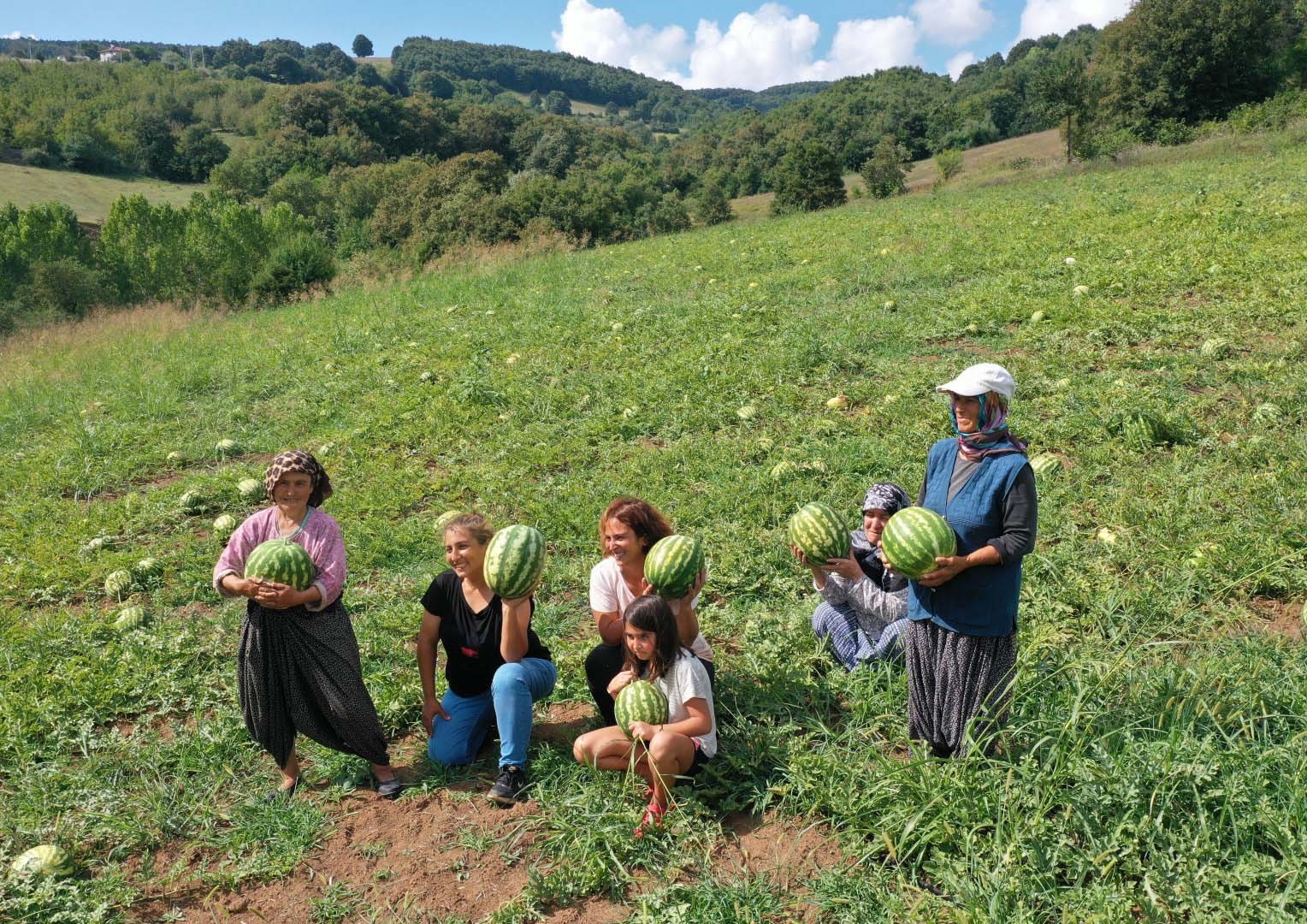 Üreticilere çilek bahçesi tesisi ve karpuz tohumu desteği