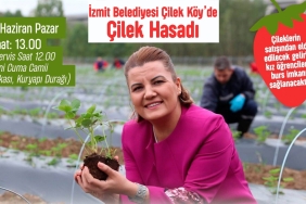 CLK