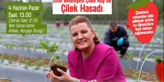 İzmit Belediyesinin Çilek Köyü’nde hasat zamanı!