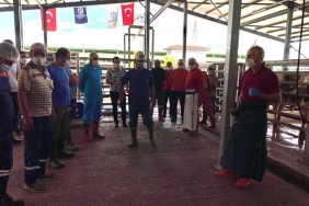 İslami usullere uygun kurban kesimi için eğitim veriliyor