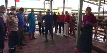 İslami usullere uygun kurban kesimi için eğitim veriliyor