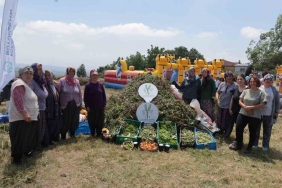 Kadın çiftçilerin yetiştirdiği arakanın ilk hasadı yapıldı