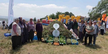 Kadın çiftçilerin yetiştirdiği arakanın ilk hasadı yapıldı