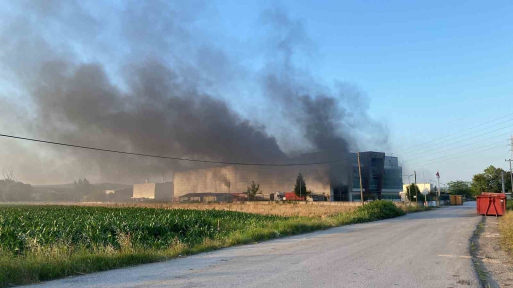 Kocaeli ’de geri dönüşüm fabrikasında yangın: 3 kişi dumandan etkilendi