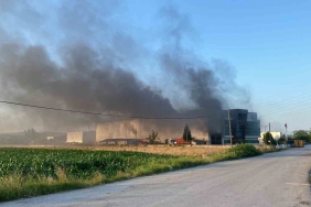 Kocaeli ’de geri dönüşüm fabrikasında yangın: 3 kişi dumandan etkilendi