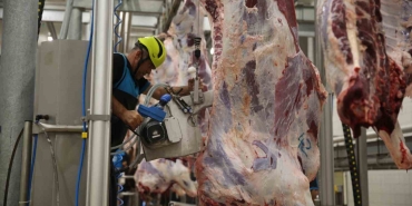 Modern kesimhanede dini hükümlere uygun kesim