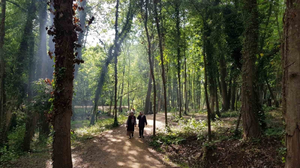 Başiskele ’nin yeşil alanları 