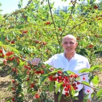 baskan-sogut-kiraz-yetistiricilerine-destegimiz-surecek
