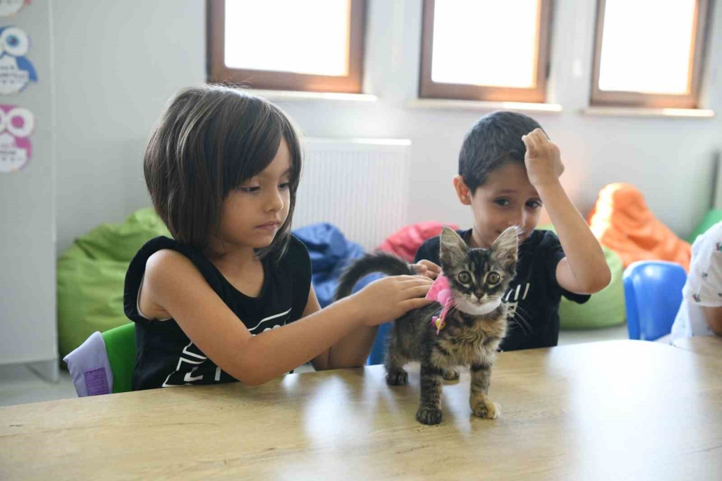 Kahve ’nin yavrularını Bilgi Evleri sahiplendi