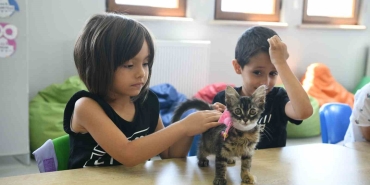 Kahve ’nin yavrularını Bilgi Evleri sahiplendi