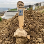 kimsesiz-kiymet-in-kocasi-hakim-karsisinda-beni-defalarca-aldatti
