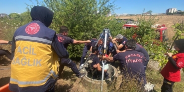 Kuyuda can pazarı