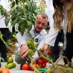 tarimda-ilk-olan-sistemde-hasat-heyecani