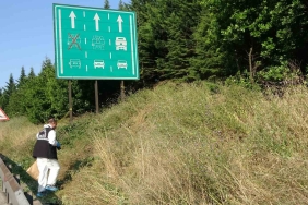 Tem Otoyolu ’nun Kocaeli geçişinde yeşillik alanda çürümüş ceset bulundu