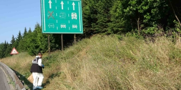 Tem Otoyolu ’nun Kocaeli geçişinde yeşillik alanda çürümüş ceset bulundu