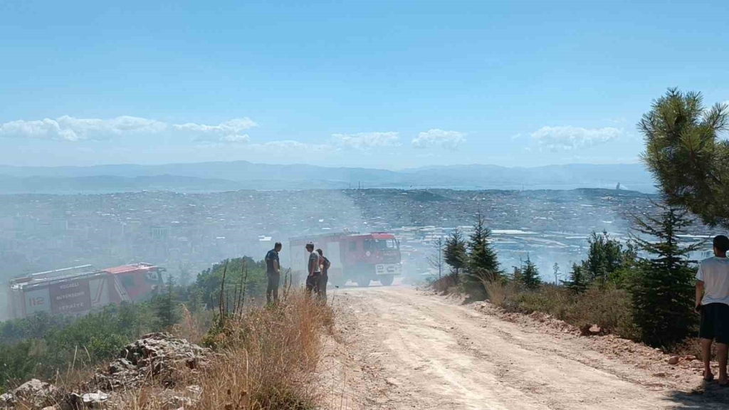 Kocaeli ’de ağaçlık alanda çıkan yangında kundaklama iddiası