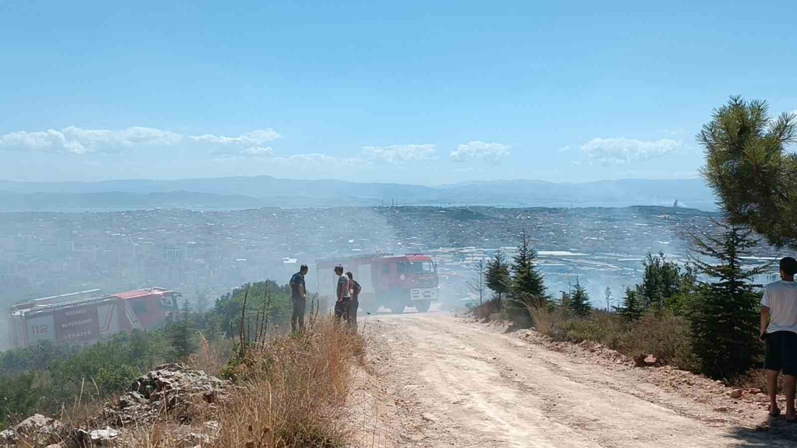 Kocaeli ’de ağaçlık alanda çıkan yangında kundaklama iddiası