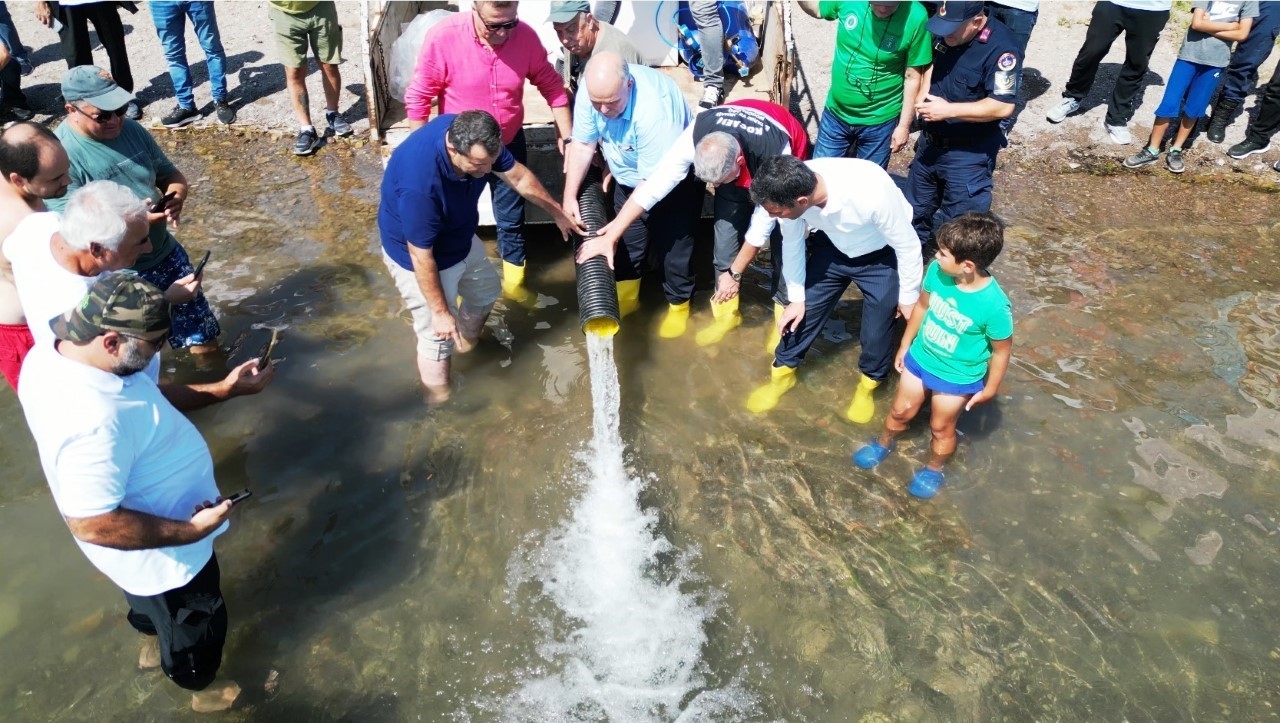 Sapanca Gölü ’ne 100 bin balık salındı