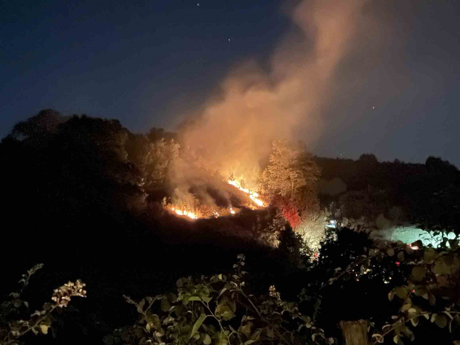 Kocaeli ’de anız yangını: Köpek dumanların arasından kurtarıldı