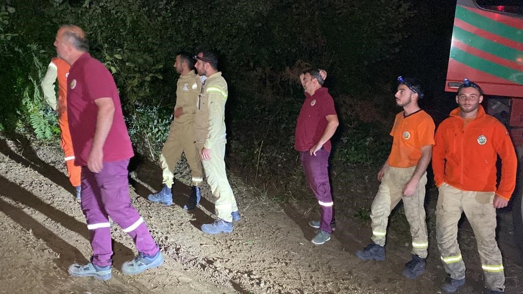 Kocaeli ’de orman yangını