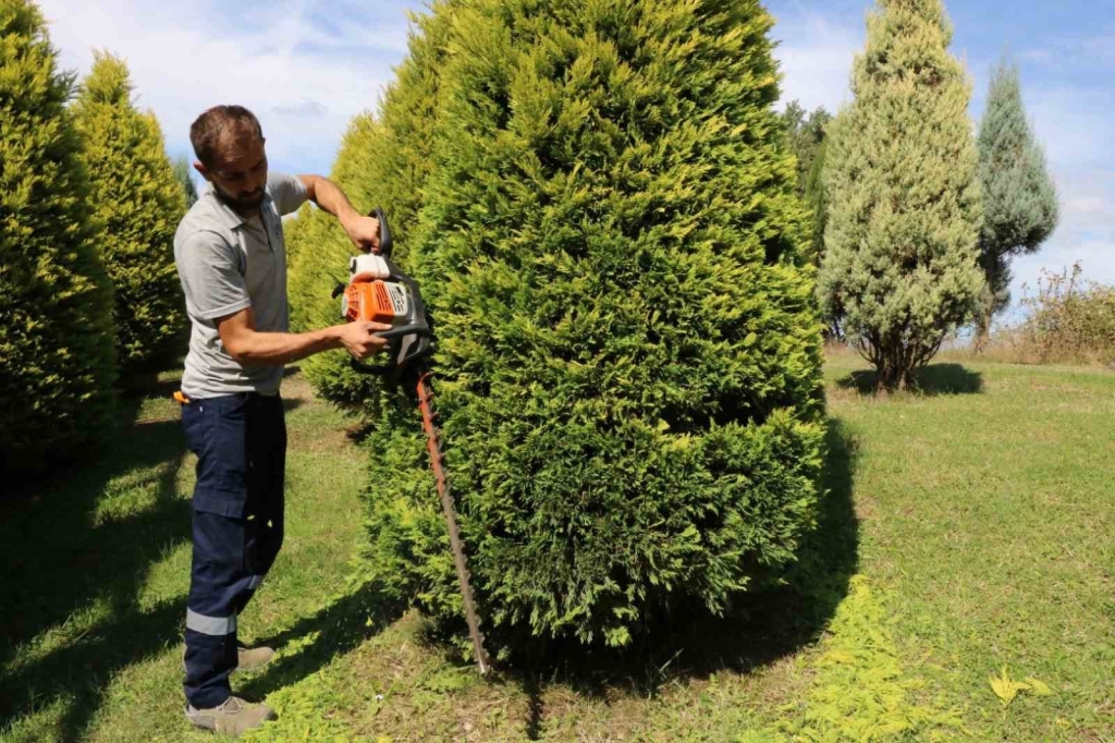 Kocaeli ’de sonbahar hazırlığı