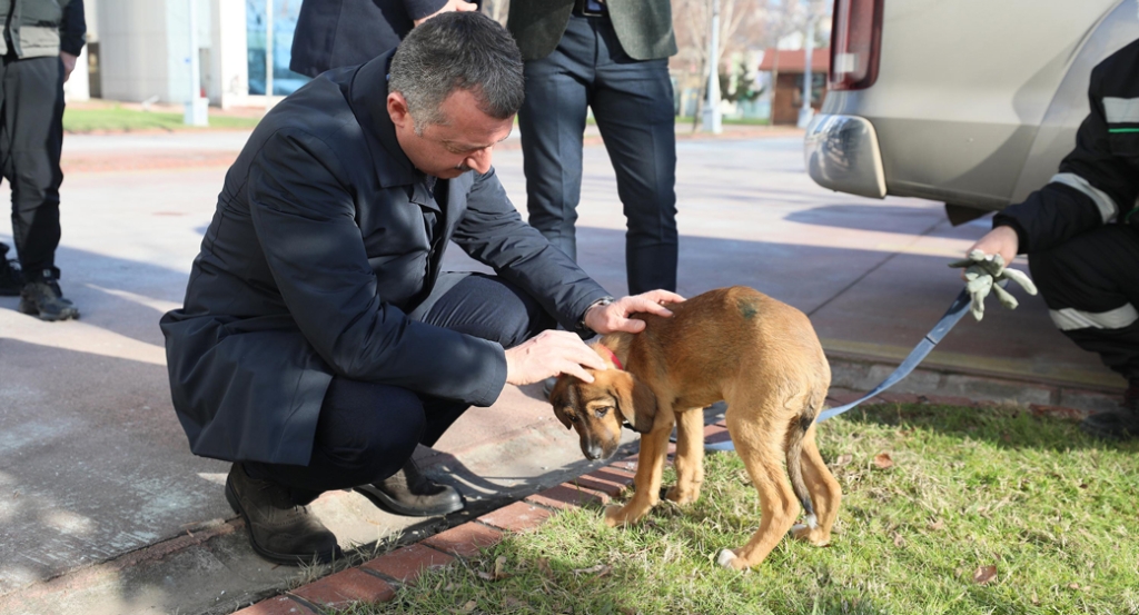 Başkan Büyükakın: ”Hiçbir canlıyı incitmeyelim”