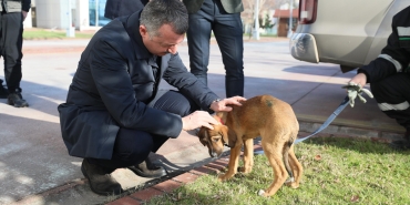 Başkan Büyükakın: ”Hiçbir canlıyı incitmeyelim”