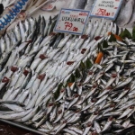 balikta-en-cok-ilgi-hamsiye
