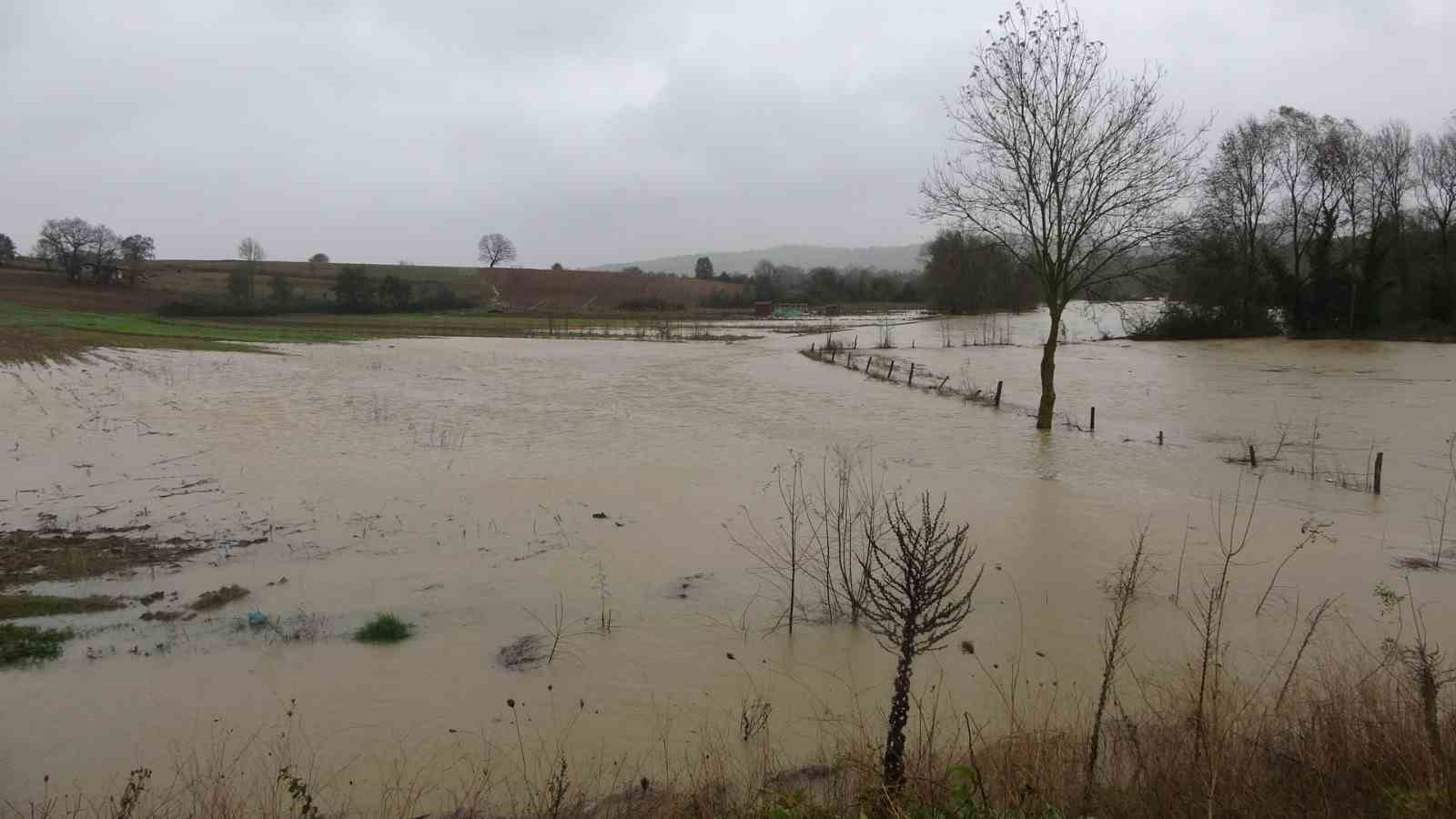 Kocaeli ’de fırtınanın bilançosu: 25 su baskını, 26 ağaç devrilmesi ve 31 trafik kazası