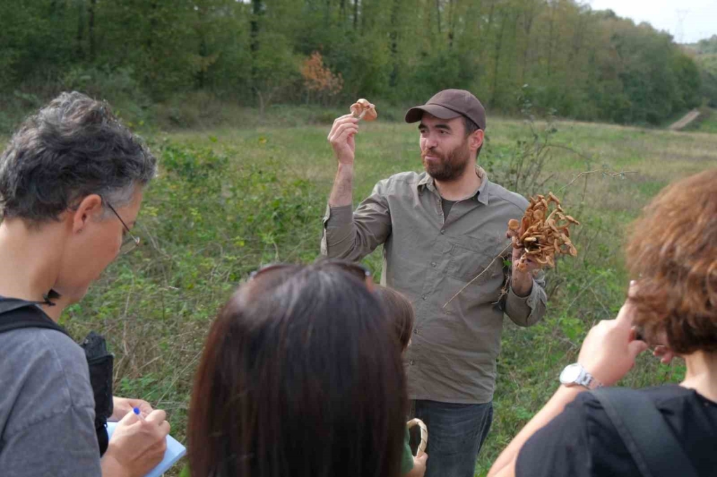Ormanya ’da mantar avı düzenlendi