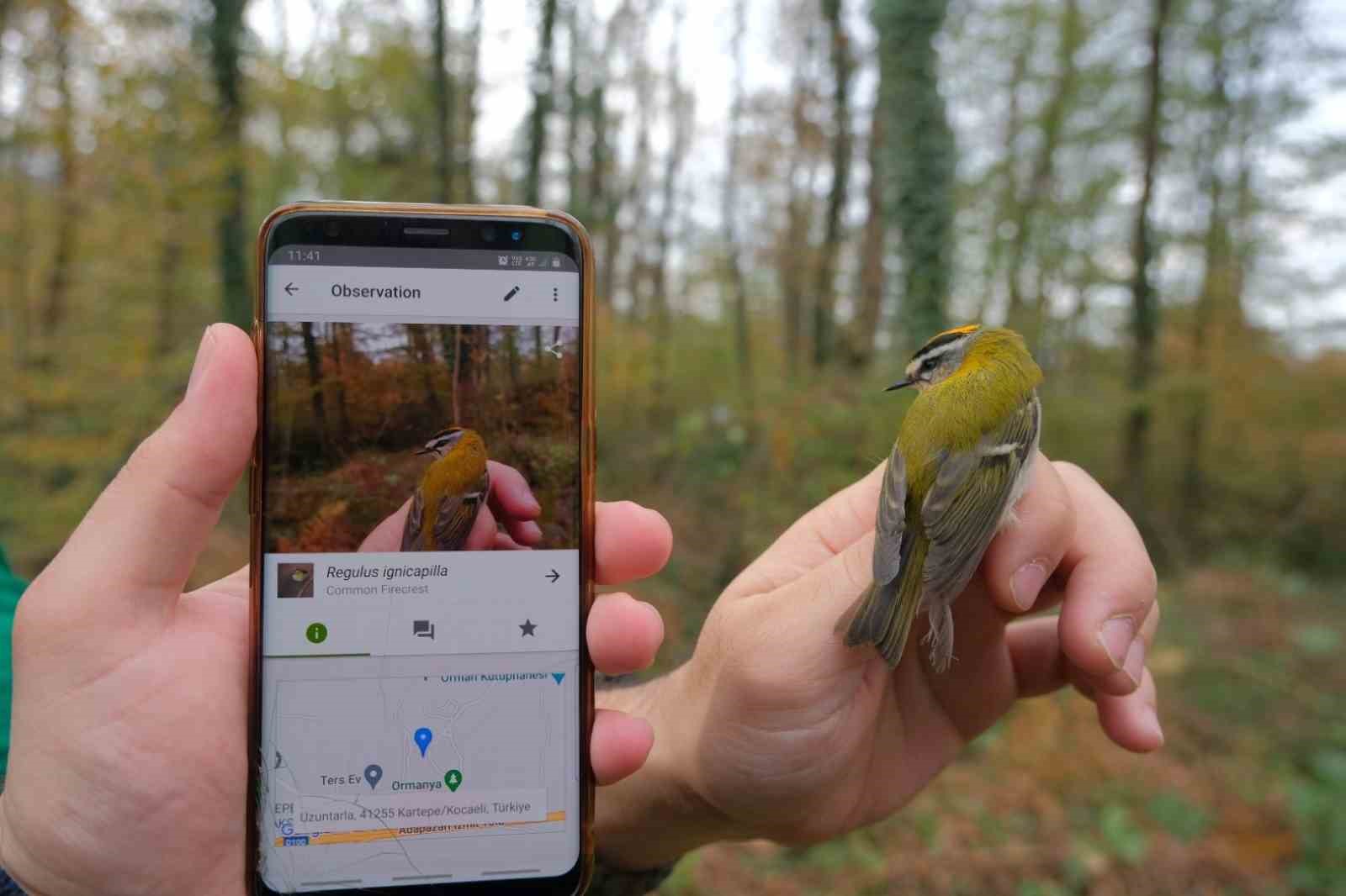 Ormaya ’da yeni canlı türleri keşfedildi
