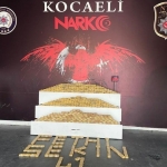 kocaeli-de-2023-un-uyusturucu-tablosu