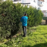 basiskele-de-bahar-hazirliklari-erken-basladi