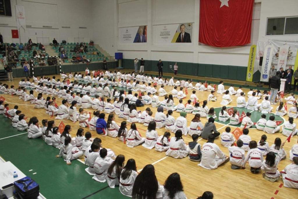 Derince ’de tekvando şöleni