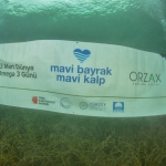3 Mart Dünya Omega 3 Gününde Anlamlı Mesaj: “Deni̇zleri̇mi̇z Kalp Damar Sağlığı İçi̇n Önem Arz Edi̇yor”