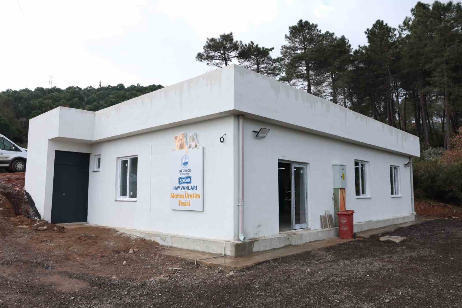 Derince ’de kedi ve köpek mamalarını artık belediye üretecek