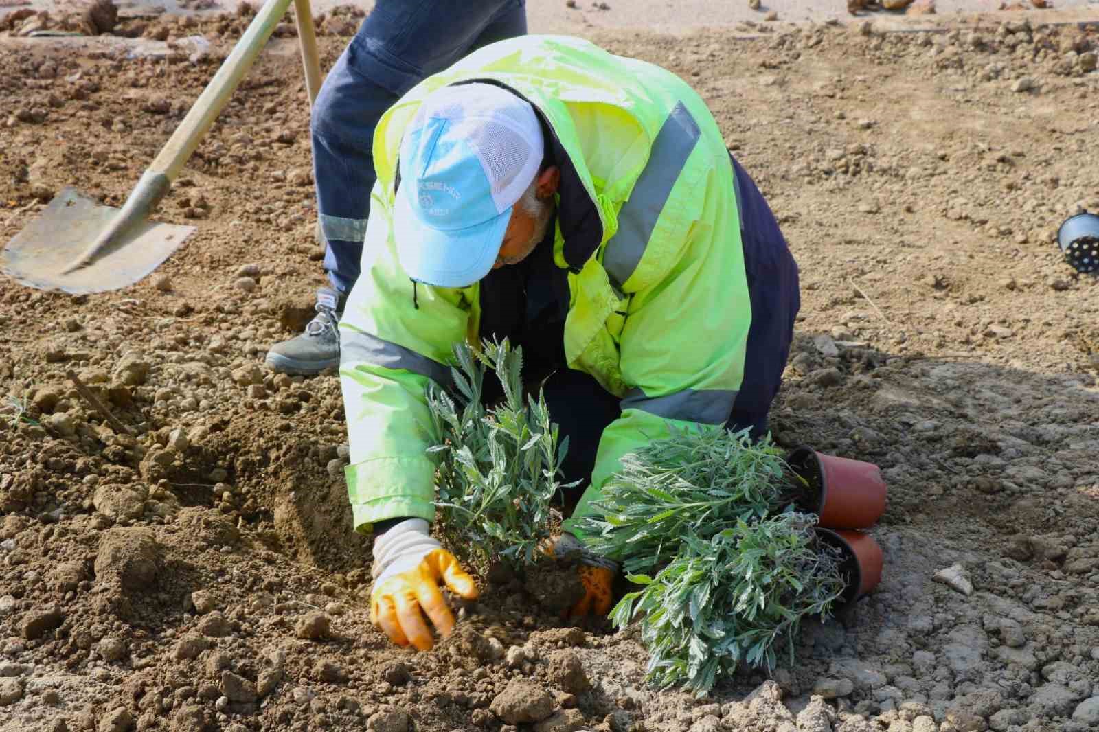 Derince ’ye 800 fidan dikildi