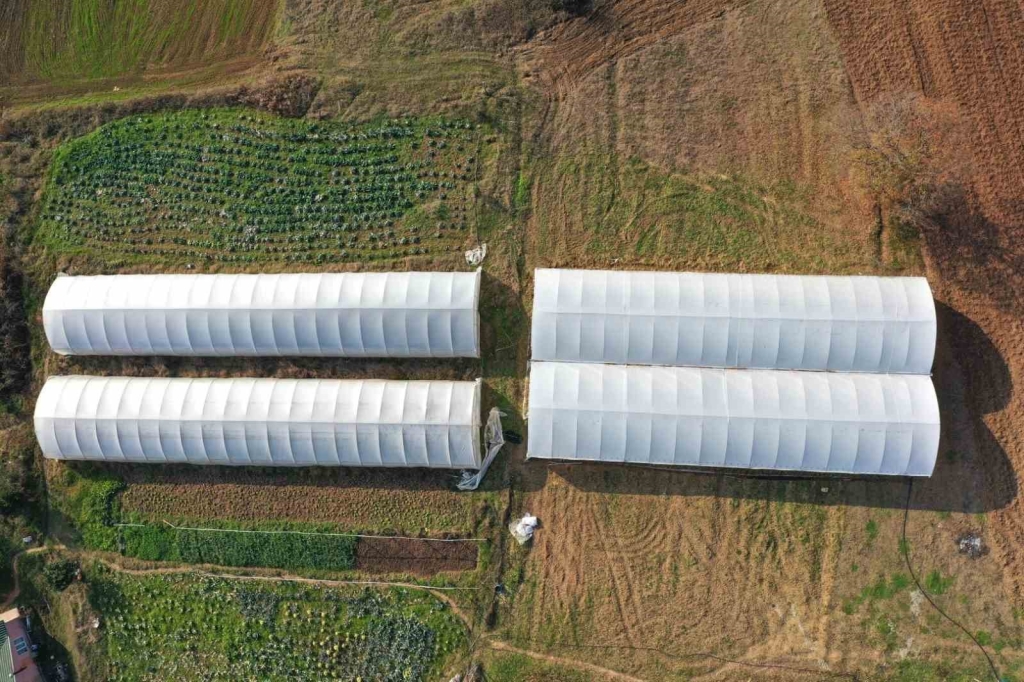 Yüzde 50 hibeli modern sera desteği