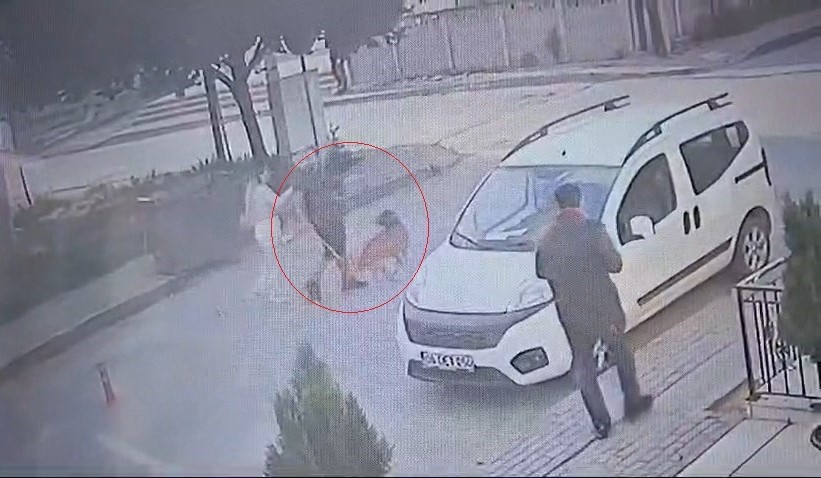 Bekçi ile boksör arasında  ’ağızlıksız pitbull ’ kavgası