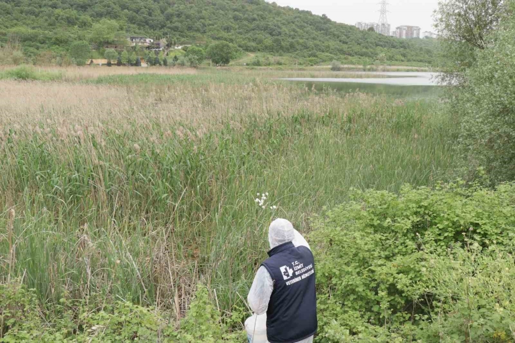 İzmit ’in her noktası ilaçlanıyor