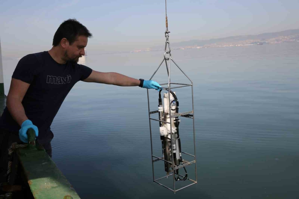 İzmit Körfezi ’nde biyoçeşitlilik araştırması sürüyor