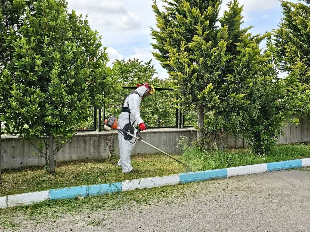 Dilovası ’nda yaz temizliği başladı