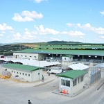 kurban-satisi-icin-modern-hayvan-pazarina-on-kayitlar-basladi