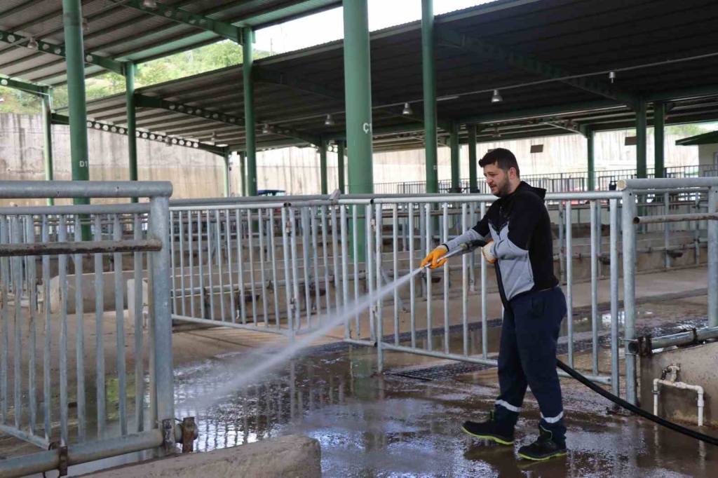 Modern Hayvan Pazarı Kurban Bayramı ’na hazırlanıyor