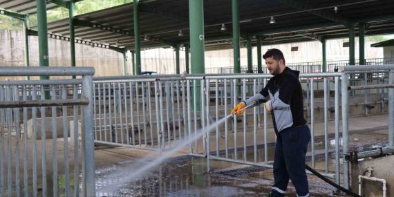 Modern Hayvan Pazarı Kurban Bayramı’na hazırlanıyor