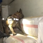 saman-yuklu-tirda-99-kilo-eroinin-sevkiyatini-yapan-saniklarin-cezasi-belli-oldu