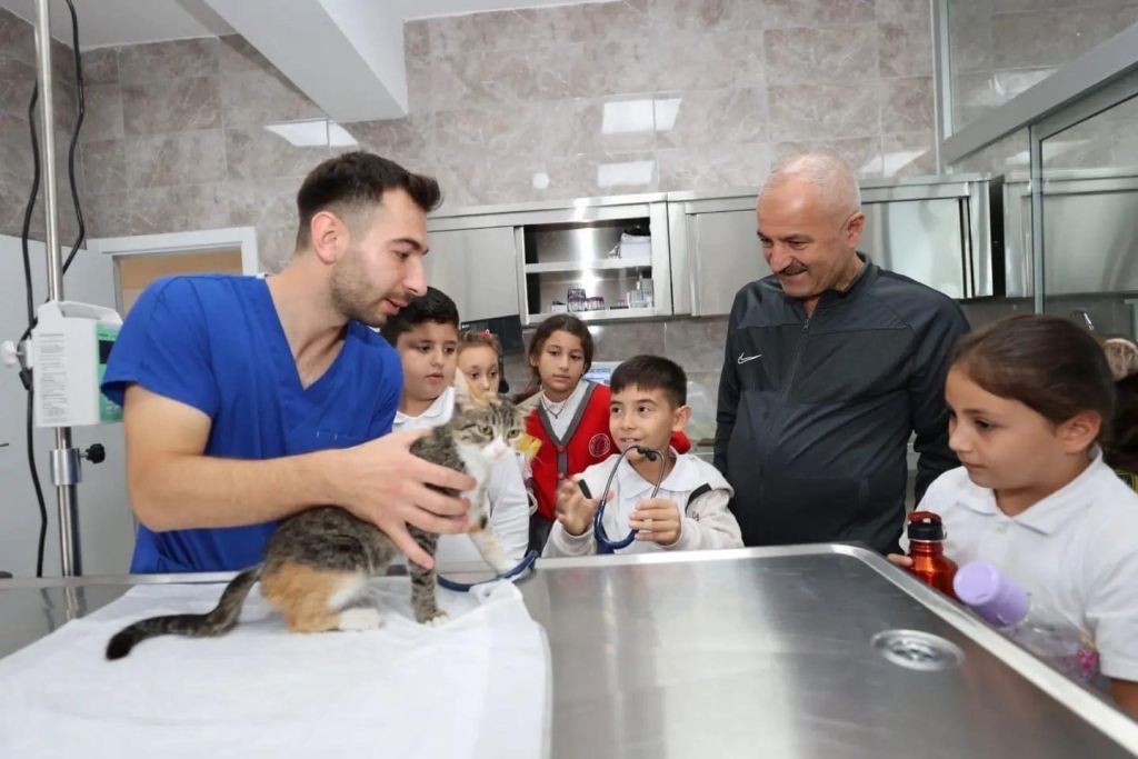 Gebze ’de 309 patili can yeni yuvalarına kavuştu