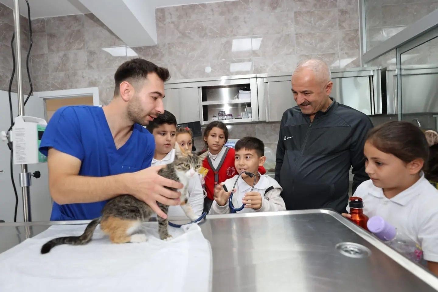 Gebze ’de 309 patili can yeni yuvalarına kavuştu