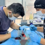 Balıkesir Büyükşehir Belediyesi can dostların yanında