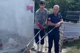 Balıkesir Manyas’ta eve giren yılan itfaiyeciler tarafından çıkarıldı